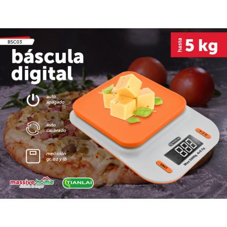 BASCULA DIGITAL