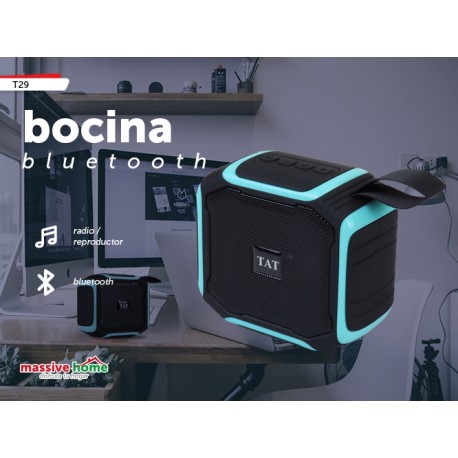 BOCINA T29