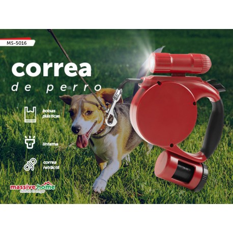 CORREA DE PERRO