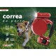 CORREA DE PERRO